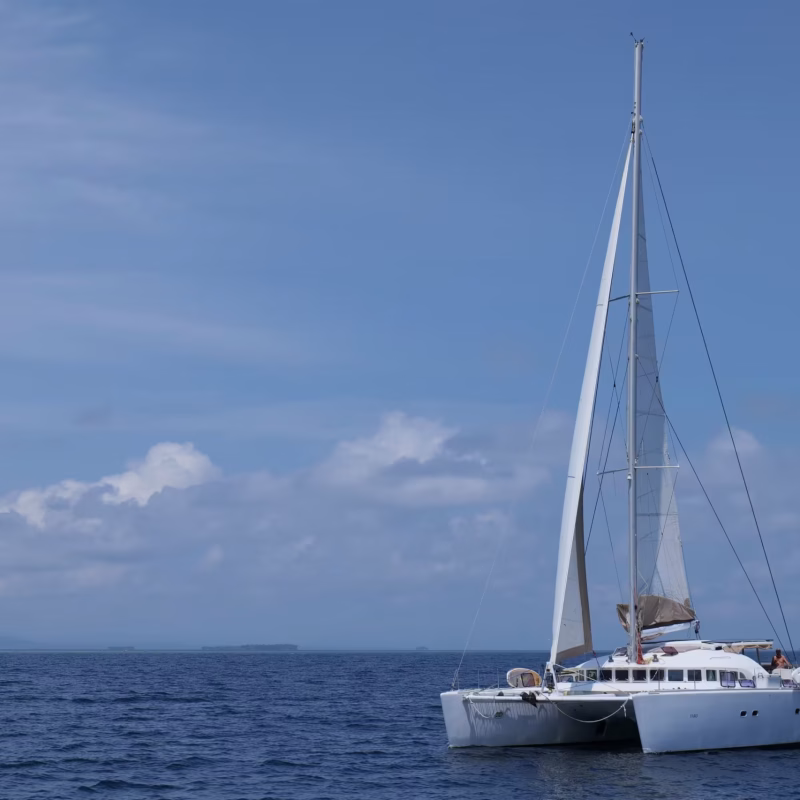 IMG-20240829-WA0039